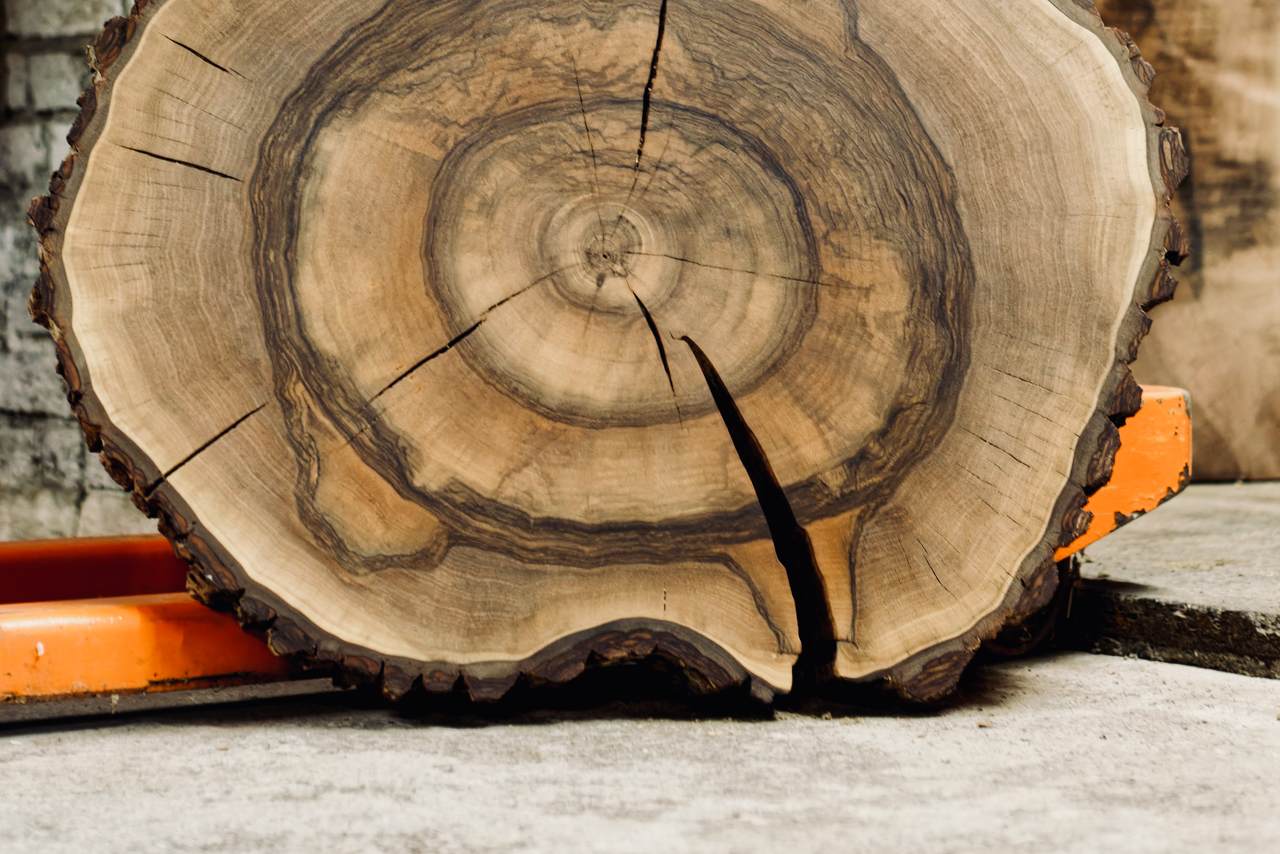 Why Wood Sounds Better: How Headphone Materials Shape What You Hear